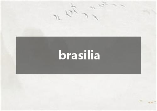 brasilia是什么意思