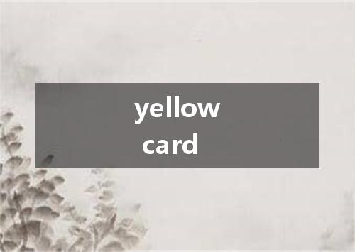 yellow card是什么意思