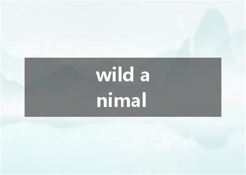 wild animal是什么意思