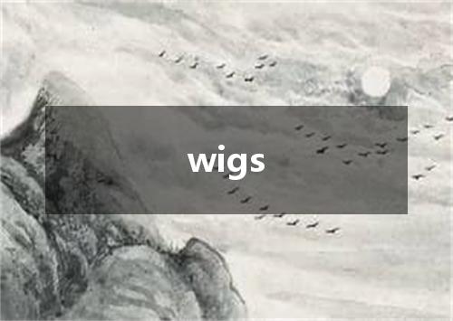 wigs是什么意思