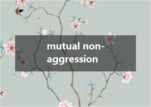 mutual non-aggression是什么意思