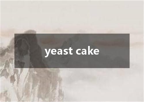 yeast cake是什么意思