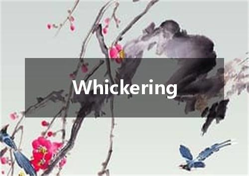 Whickering是什么意思