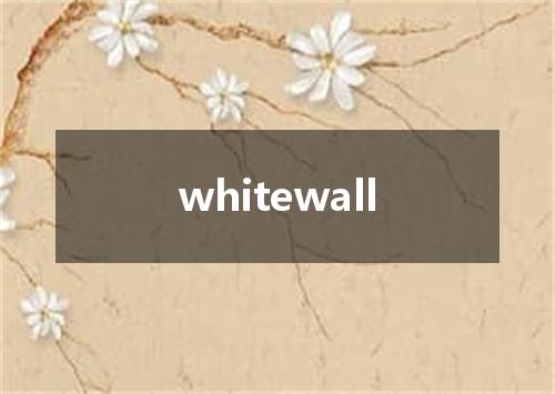 whitewall是什么意思
