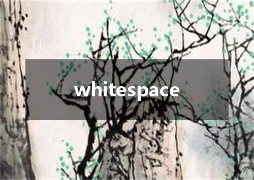 whitespace是什么意思