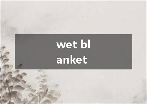 wet blanket是什么意思