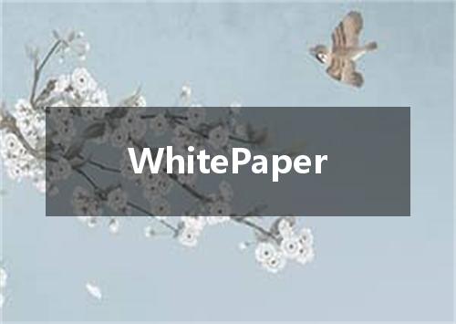 WhitePaper是什么意思