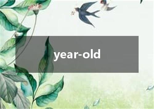 year-old是什么意思