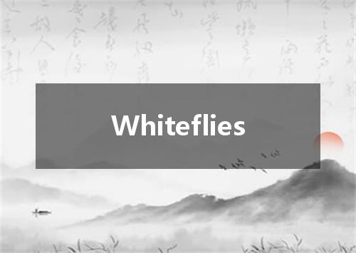 Whiteflies是什么意思