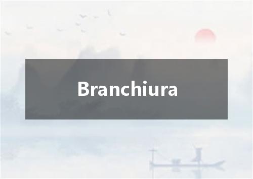 Branchiura是什么意思
