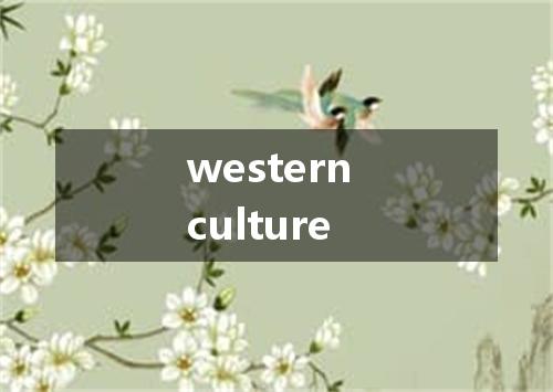 western culture是什么意思