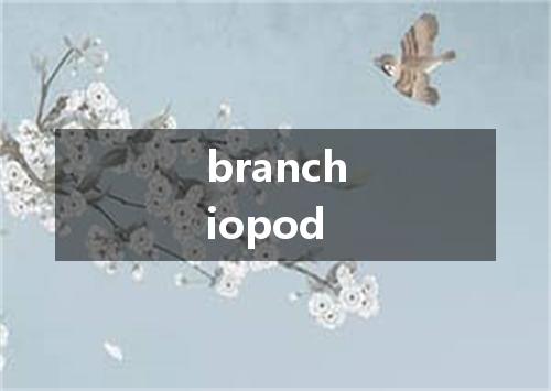 branchiopod是什么意思