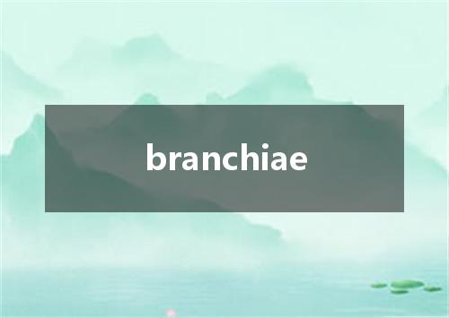branchiae是什么意思