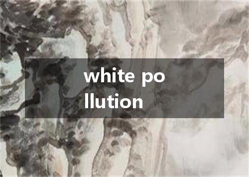 white pollution是什么意思