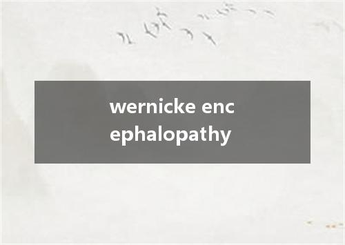 wernicke encephalopathy是什么意思