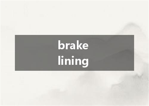 brake lining是什么意思