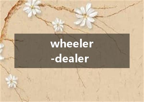 wheeler-dealer是什么意思
