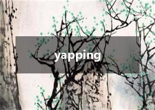 yapping是什么意思