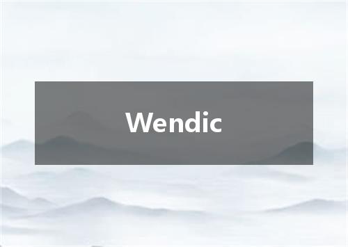 Wendic是什么意思