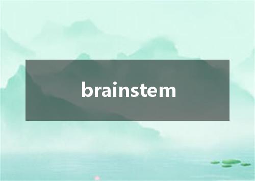 brainstem是什么意思