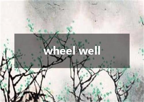 wheel well是什么意思