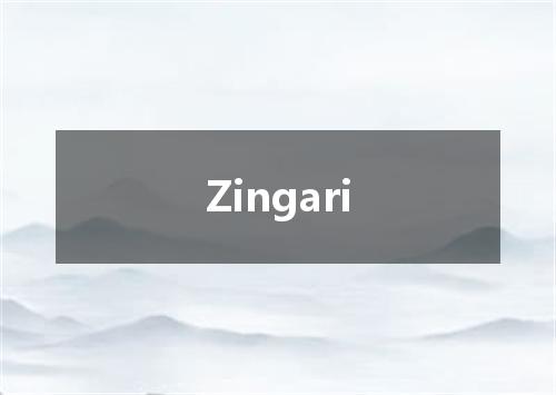 Zingari是什么意思