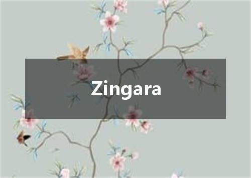 Zingara是什么意思
