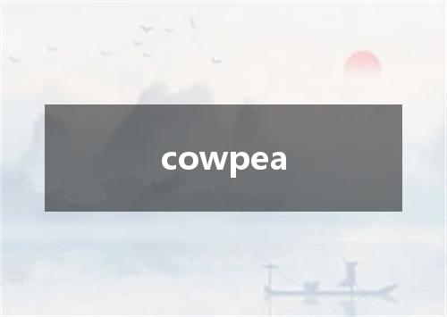 cowpea是什么意思