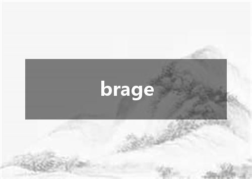 brage是什么意思