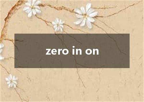 zero in on是什么意思