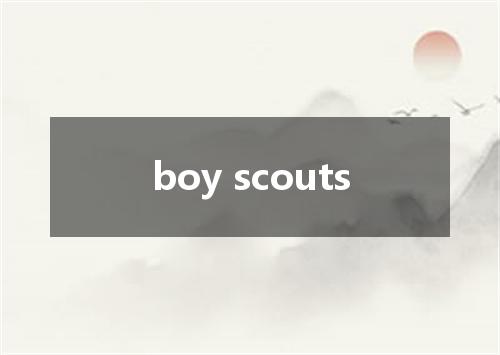 boy scouts是什么意思