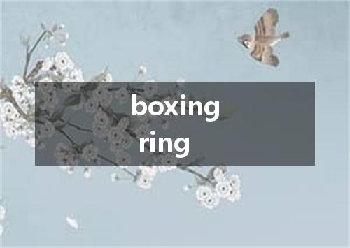 boxing ring是什么意思