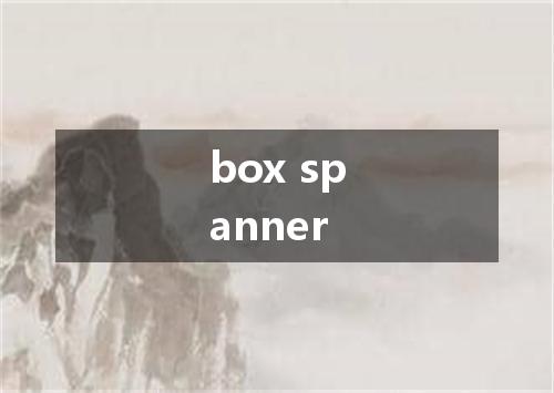 box spanner是什么意思