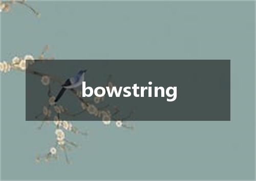 bowstring是什么意思