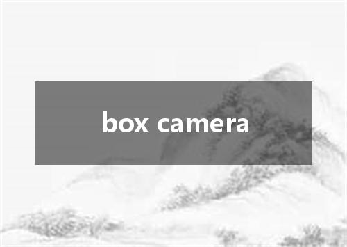 box camera是什么意思