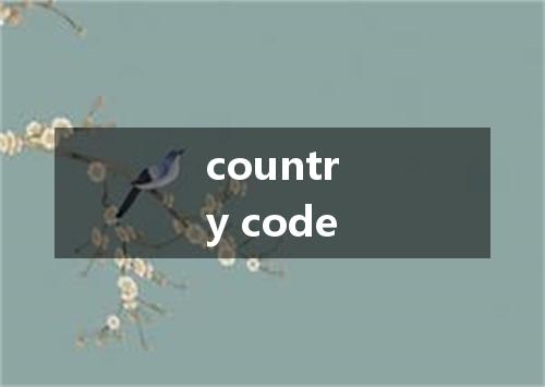 country code是什么意思