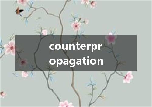 counterpropagation是什么意思