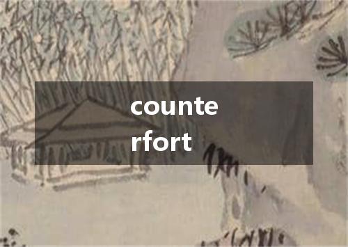 counterfort是什么意思