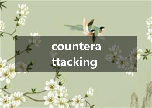 counterattacking是什么意思