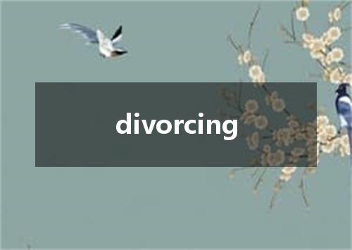 divorcing是什么意思