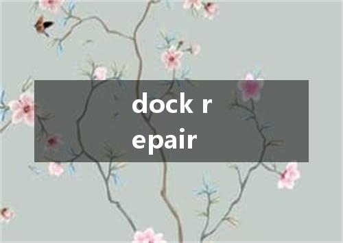 dock repair是什么意思