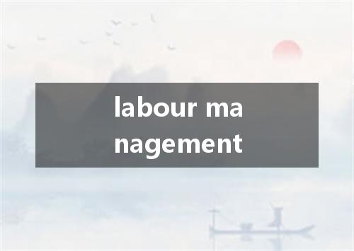 labour management是什么意思