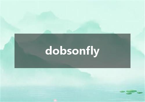 dobsonfly是什么意思