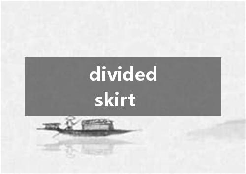 divided skirt是什么意思