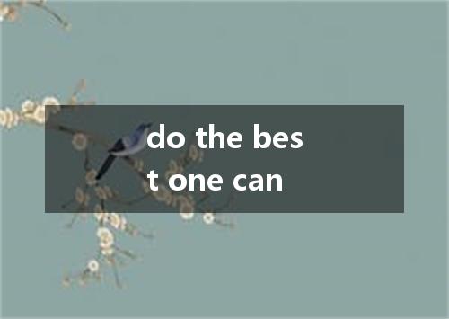 do the best one can是什么意思