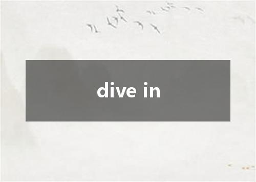 dive in是什么意思