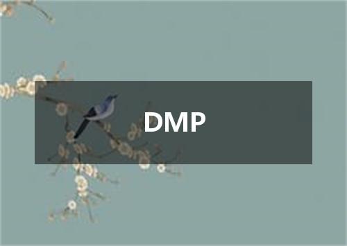 DMP是什么意思