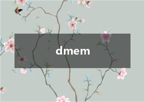 dmem是什么意思