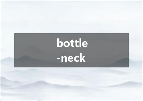 bottle-neck是什么意思
