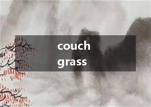 couch grass是什么意思